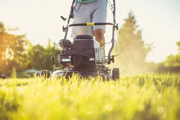 Can You Mow Wet Grass in Westminster, CO