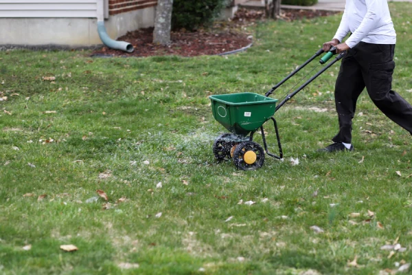 How often should you fertilize your lawn in Westminster, CO