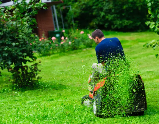 Lawn Mowing in Westminster, CO