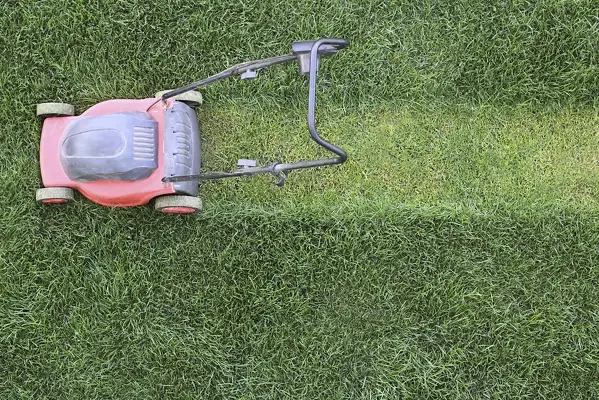 Lawn Mowing in Westminster, CO